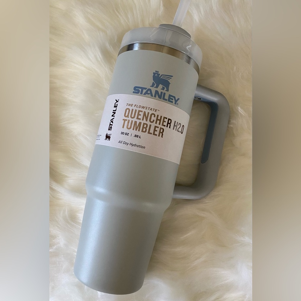 NWT New Stanley 30 Oz. Quencher H2.0 Tumbler in FOG